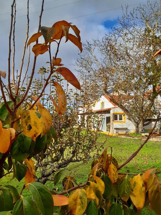 Quintal Do Freixo - Country House Sobral de Monte Agraço Exterior photo